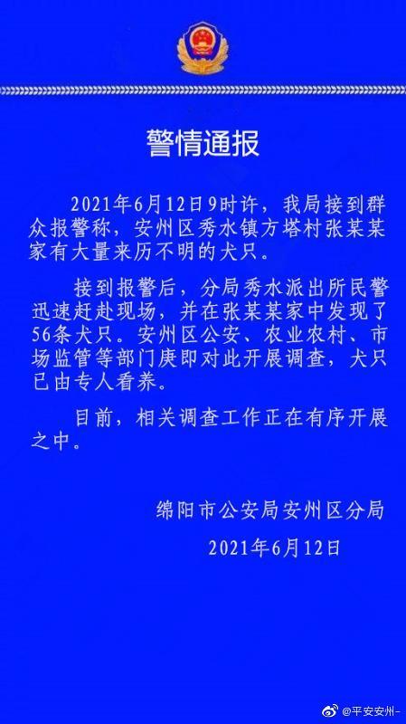 村民家中发现56只不明来历犬只