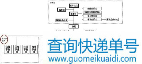 2017年韵达调整后的组织架构